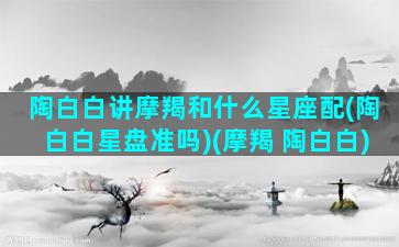 陶白白讲摩羯和什么星座配(陶白白星盘准吗)(摩羯 陶白白)